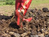 Mud&horse droppings